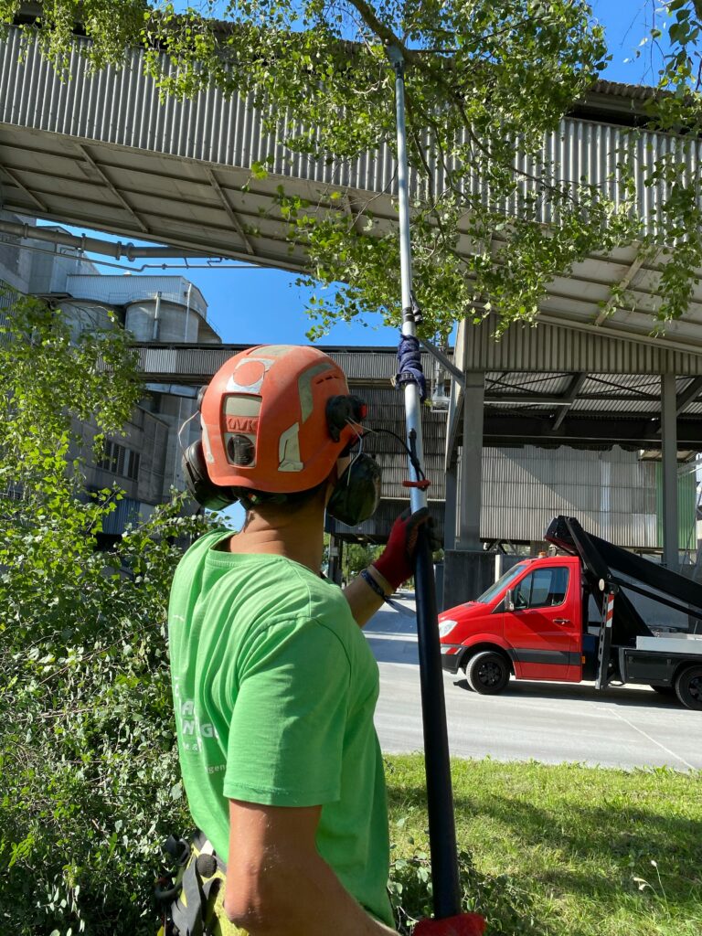 Worker using pole saw for tree trimming tasks outdoors under clear blue sky.