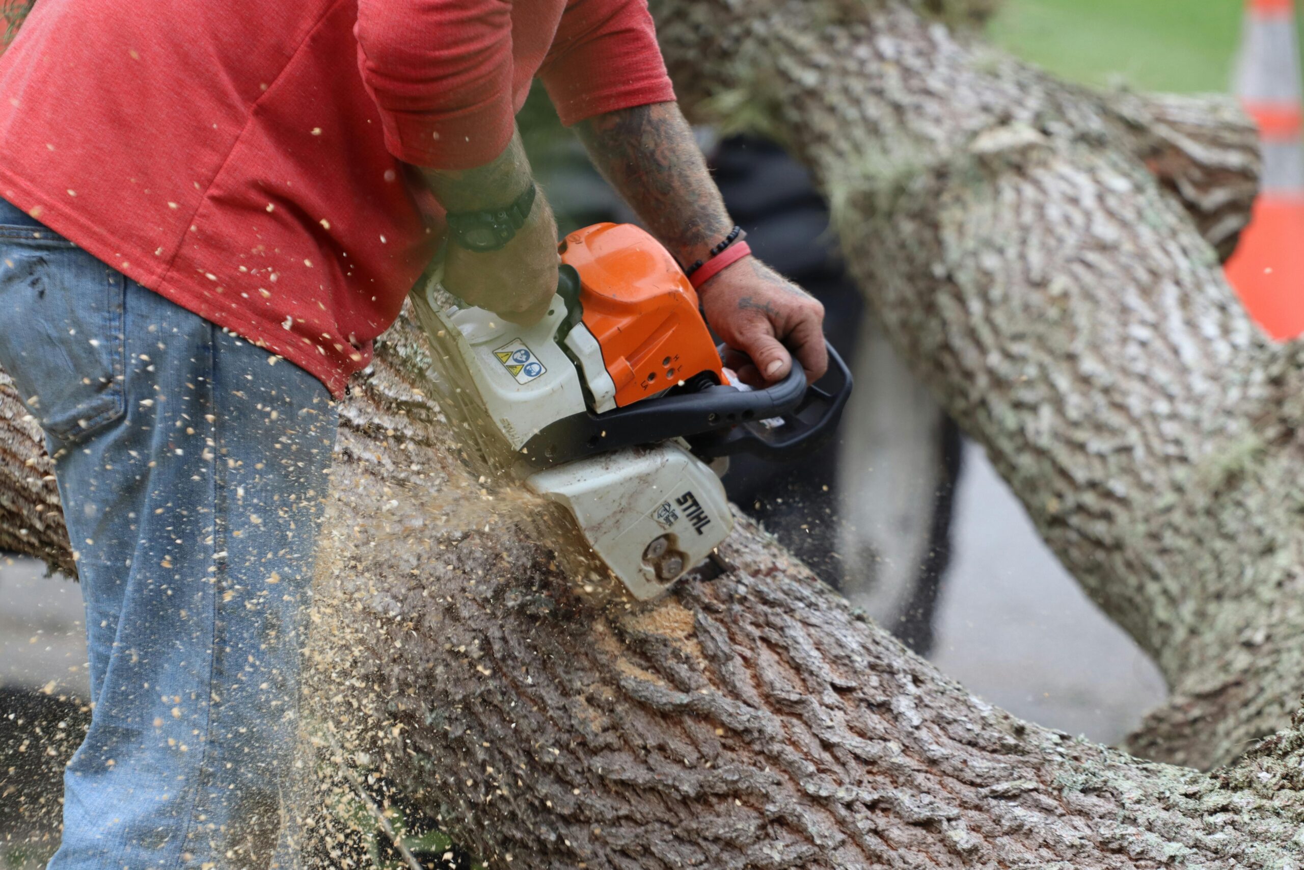 Close-up of a man using a chainsaw to cut a large tree log outdoors.