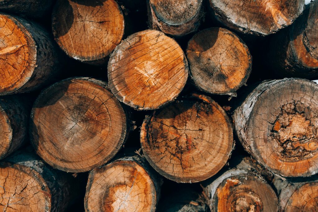 High-resolution image of stacked weathered tree logs in natural lighting.